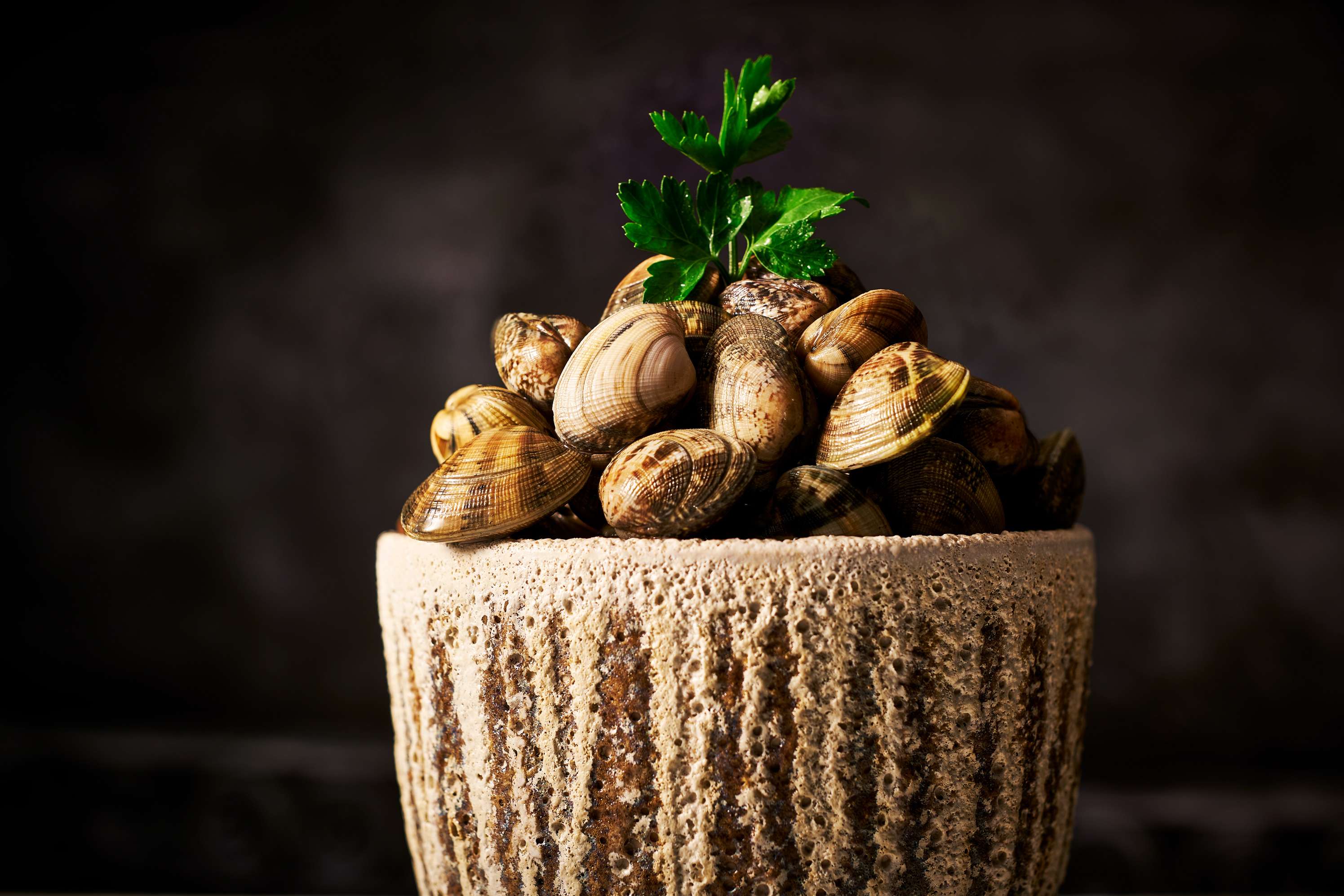 Clams in shell by Food Photographer London